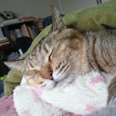 karin102843's profile picture. 