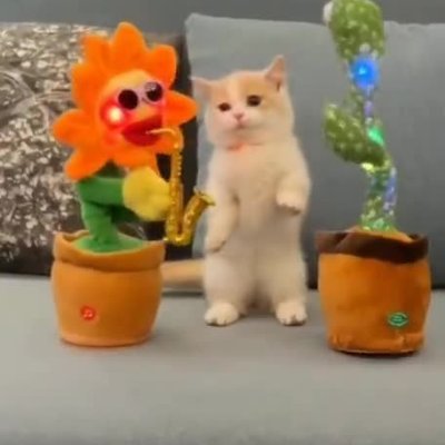 182.84 수원