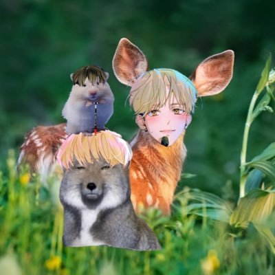 콩콩쓰さんのプロフィール画像