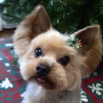 えこーさんのプロフィール画像