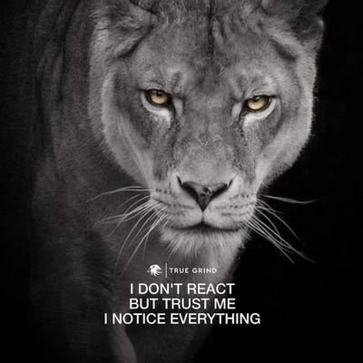 pradeepku18's profile picture. Nation first.  Every corrupt person must be behind the bar. No one is VVIP.