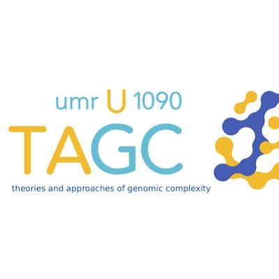 Theories and Approaches of Genomic Complexity (TAGC lab). Bioinformatics and Genomics of Molecular Networks. Genetics and Genomics of Multifactorial Diseases.