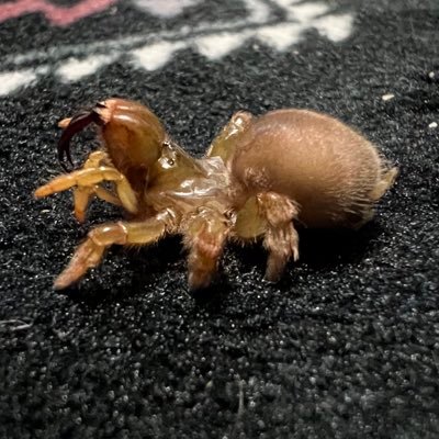 takerunrun46's profile picture. 見る専      農大