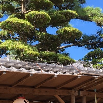 poko020606poko's profile picture. こんにちは。スケールモデルが趣味です。最近は子供と遊べるもの探して鉄道模型もつまみ食い。古くて安いキットが大好物。無断フォローお許しください。