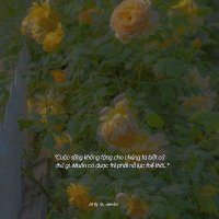 Thad Carrecter (@thad76sn59) 's Twitter Profile