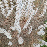 Yazar (@aysesairy) Twitter profile photo