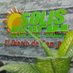 Solis Informa / El Diario de San Juan (@eldiariodesj) Twitter profile photo Solis Informa / El Diario de San Juan (@eldiariodesj) Twitter profile photo