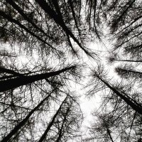 Philip McGuinness Photography (@philmcphoto) 's Twitter Profile Photo Philip McGuinness Photography (@philmcphoto) 's Twitter Profile Photo