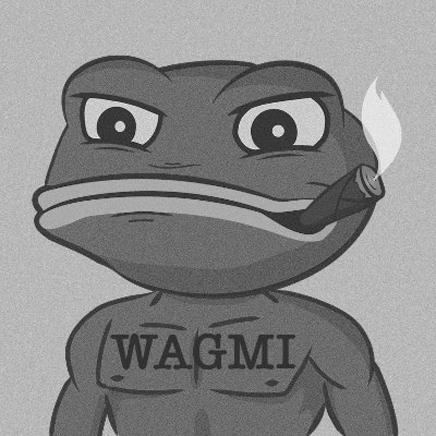 The WAGMI REPORTさんのプロフィール画像