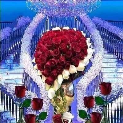 Ali59334218's profile picture. زندگی آرام ساده