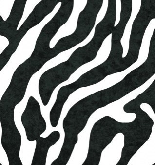 helenazatawski's profile picture. 