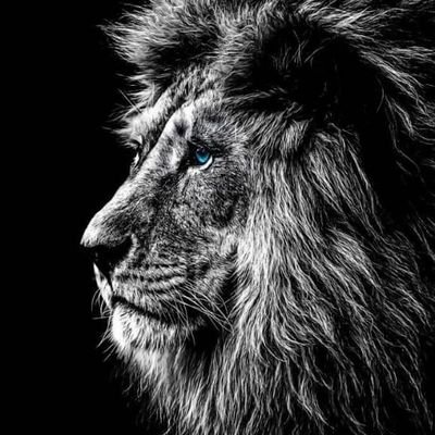 Darescofield's profile picture. A worshipper, ethical hacker, system analyst, network operations engineer, a covenant child of God's Kingdom, a lover of Psychology, a City on the Hill....