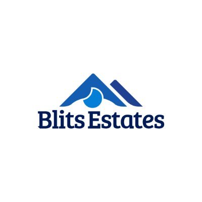 BlitsEstates Profile Picture