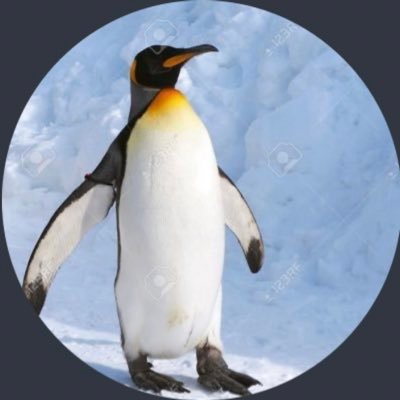pinguina2018