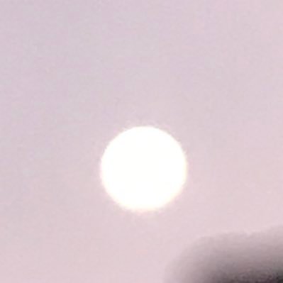 paparassiz's profile picture. 