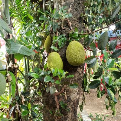 truongxuan2701's profile picture. 