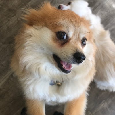 SnappySalamandr's profile picture. ✝️God & Family, Conservative. Faith, Family, Freedom- U do U, I do me.. Its ok to disagree.