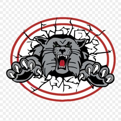 We are Canton South High School's pep club, the Bleacher Creatures!