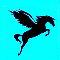 What's Your Angle ?(@777horseracing) 's Twitter Profile Photo