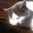 ace_ee's profile image