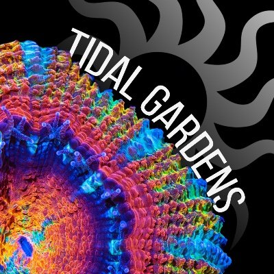 Tidal Gardens is a dedicated coral farming facility serving saltwater aquarium keepers everywhere.