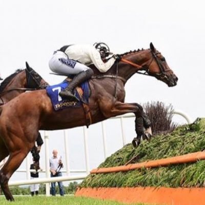 Harry Swan Profile