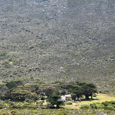 botqnique's profile picture. 