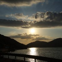 Chikaraishi Lab (Hiroshima Univ) (@chikaralab) 's Twitter Profile Photo Chikaraishi Lab (Hiroshima Univ) (@chikaralab) 's Twitter Profile Photo