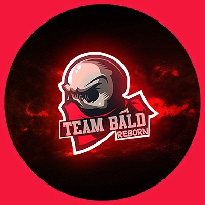 Team Bald Reborn is a Professional DotA 2 Team. Playing on DPC WEU Division II. #TBR