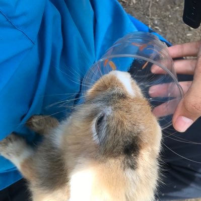 epher_w's profile picture. 