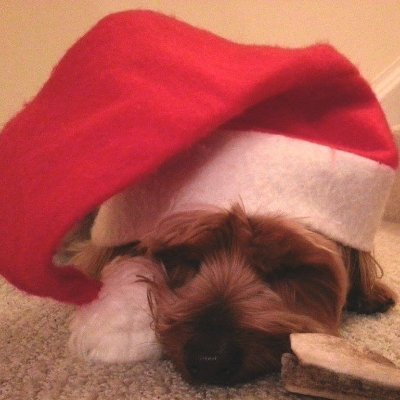 LPRES6's profile picture. Independent - American - Active Voter