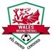 Wales Walking Football (@Wales_WF) Twitter profile photo