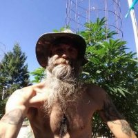 Shaggy Davis (@shaggydavis4) 's Twitter Profile