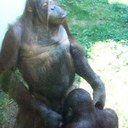 Liam Irwin - @mangash123 - Twitter