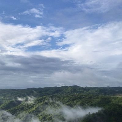 CafaThat's profile picture. 💐🧸