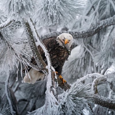 Idahome66's profile picture. 