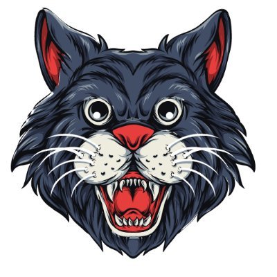 jgfjjh14's profile picture. T-shirt designs are easy to design, they are a group of designs that are not specific to a specific field