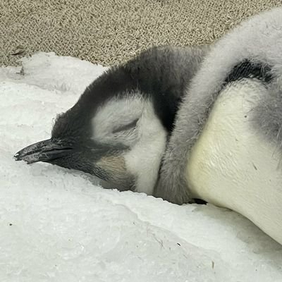 毎日、小さな笑いの積み重ね！