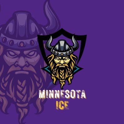 Minnesotas first professional fantasy football team. @yardofwar