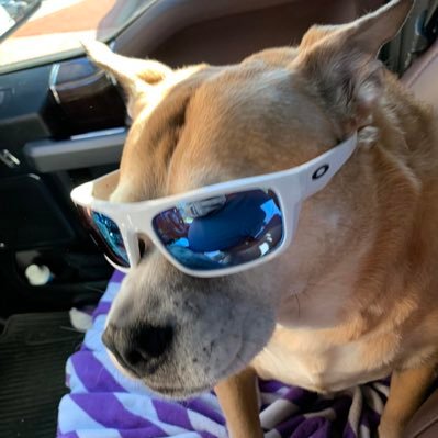 DanHowa86852326's profile picture. 