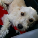 David Coultas - @dvcplanners - Twitter