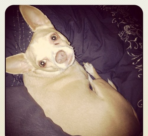 SunshineTatum's profile picture. 