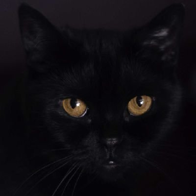 BlackkkCCCat's profile picture. ✌️😎
زن زندگی آزادی