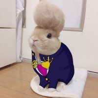 Mr. Gorin & Watch (@gorin0001) 's Twitter Profile Photo