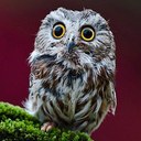 Tara Toler - @instantclarity - Twitter