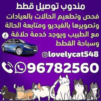 مندوب توصيل قطط العيادات البيطرية فحص تطعيم ويوجد خدمه حلاقه وسباحه 96782560