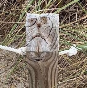 Kpaz_diva's profile picture. 欲塗れ。