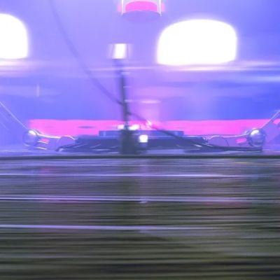 TrBiddu's profile picture. Join nft