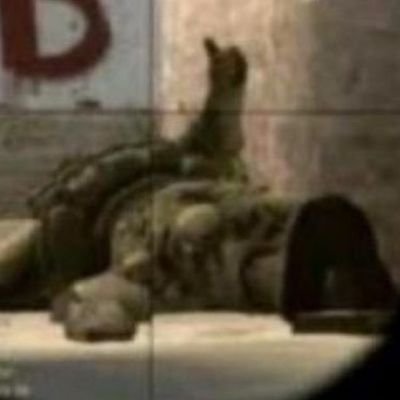 mguelzin_'s profile picture. Um adorador eterno da @FURIA