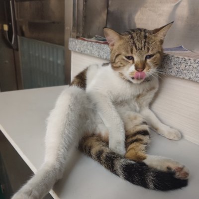 panglw's profile picture. 